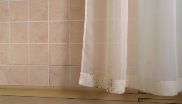 Best Mold Remediation for Vacation Homes  in Moody, TX