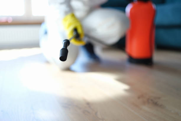 Best Commercial Mold Inspection  in Moody, TX