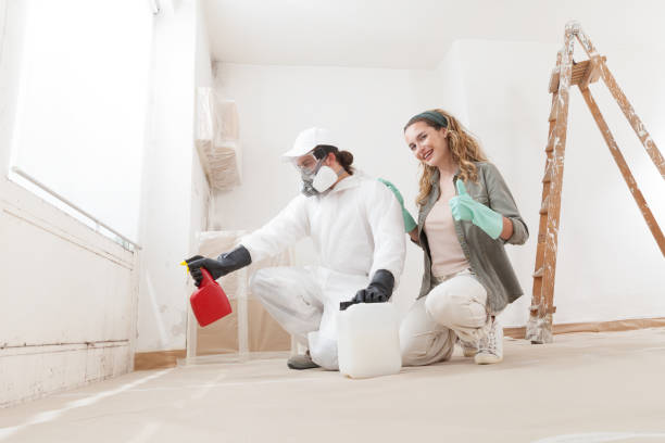 Best Post-Construction Mold Inspection  in Moody, TX